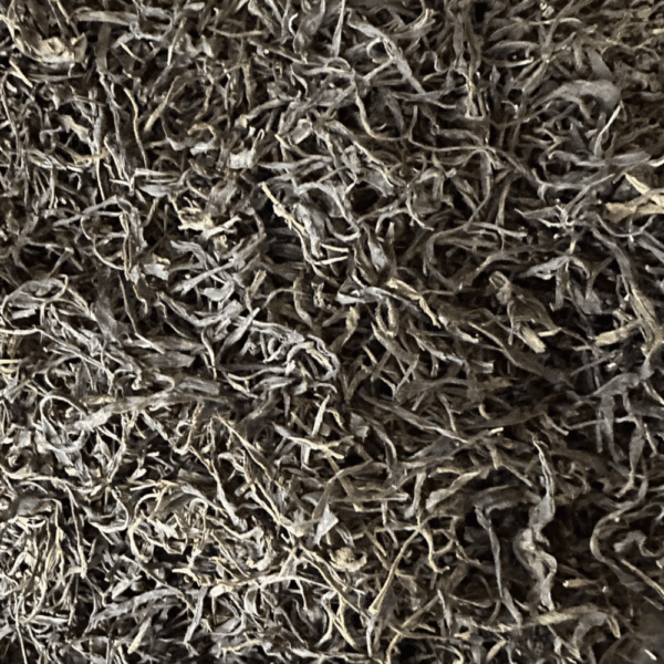 Whole Leaf Clove Black Tea - Image 3